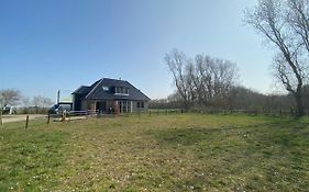 Logies Boszicht Texel